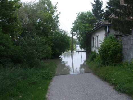 2013.06