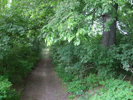 2013.06