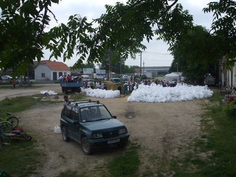 2013.06