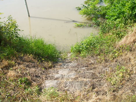 2013.06.06 .08 tetőzés