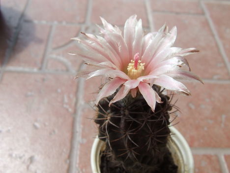 DSCF7120