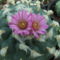 DSCF7124