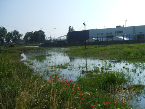 Tesco 2