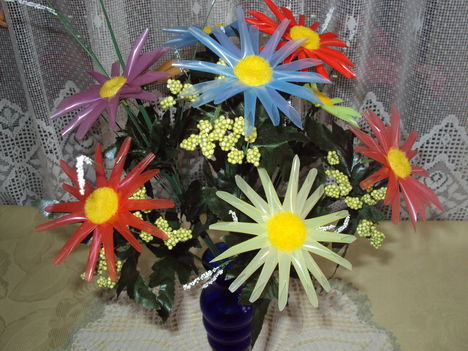 Virágaim 090