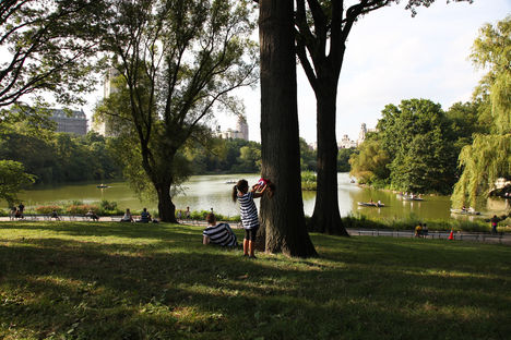New York-i színterek /Central Park, Metropolitan/ 4