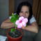 Rozsaszin hibiscus 3