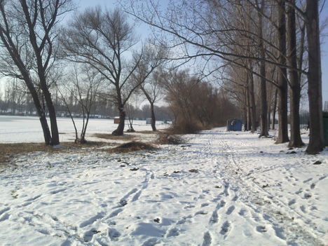 Téli tópart 2011 január