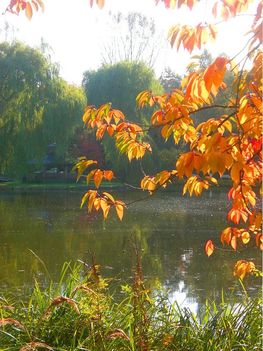 hangulatos autumn
