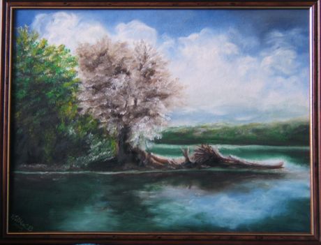 Tópart olaj,farost,30×40cm