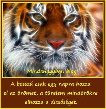 1002605_692850540741955_448777183_n