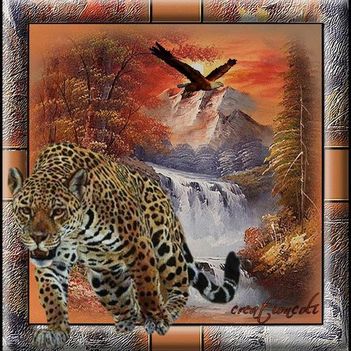 1011502_682292725131070_1181855851_n