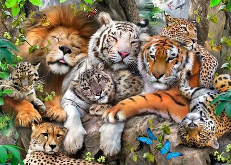 1098347_690747497618926_1307894985_n