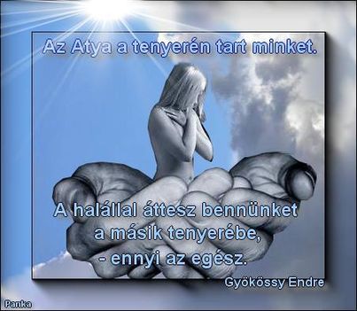 1239794_706804626013213_1814252453_n