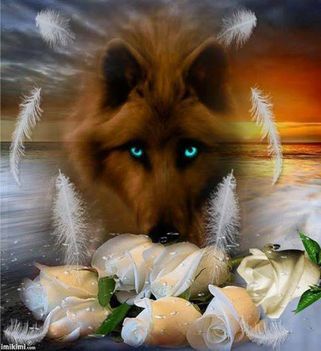 1240620_709940502366292_1729176004_n