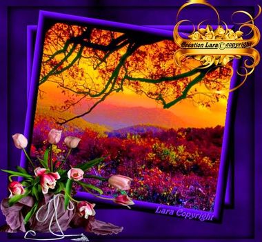 555348_709377512422591_1438673128_n