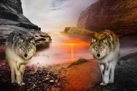 64134_710102539016755_1500012947_n