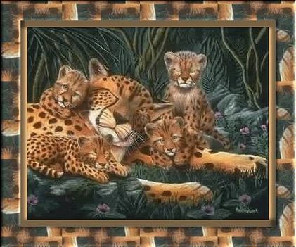 972328_690636984296644_1528218338_n