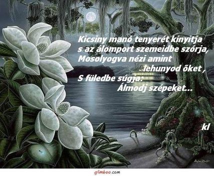 1186124_500615330028365_429640752_n