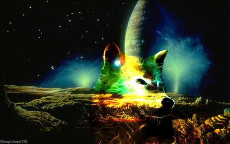 735663_505112806177571_581727299_o_2