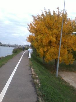 2013-09-27 08.30