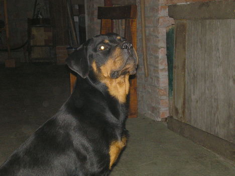 P9050538