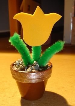 Tulipán