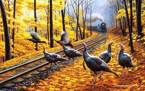 1378572_242967335856030_1970475652_n