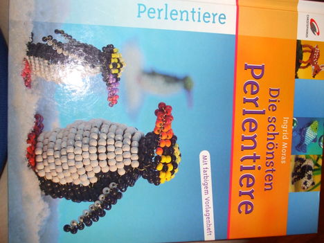 DSCF6880