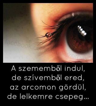 1385053_524759237609286_1678751162_n