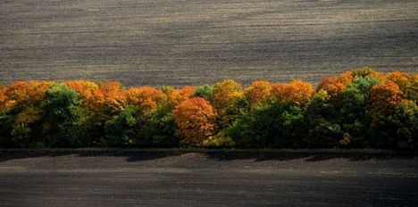 L-égi képek /f.H.Szabó Sándor/ 2