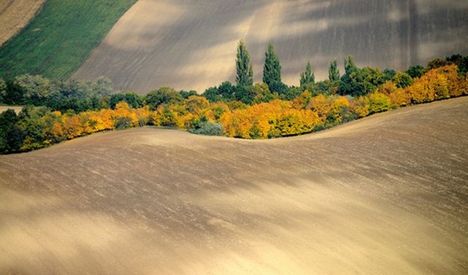 L-égi képek /f.H.Szabó Sándor/ 3