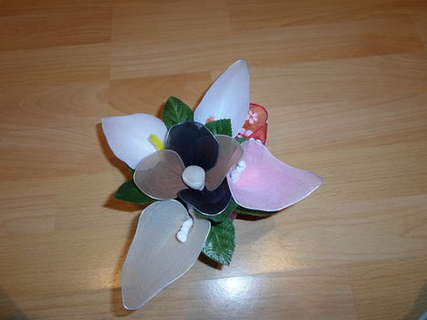 SAM_0492