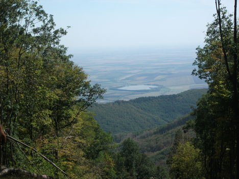 DSCF4394