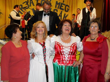Gyöngyöstarján II- 13