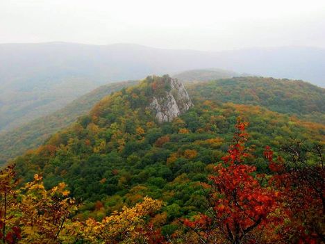 Ősziélmény-képek... 6