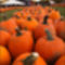 Halloween-i díszletek 3