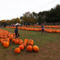 Halloween-i díszletek 5