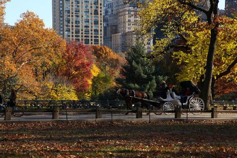 New York-i Ősz...1-6. 2