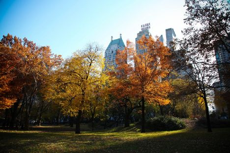 New York-i Ősz...1-6. 6