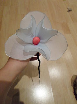 SAM_0508