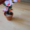 SAM_0528