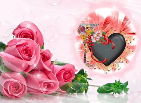7-en-7bba23586b8b73c819ebbf31d5de37c6