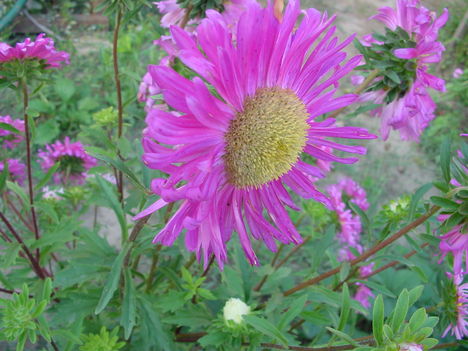 DSC06509