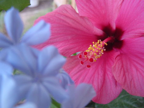 DSC06534