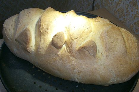 Harapnivaló 11