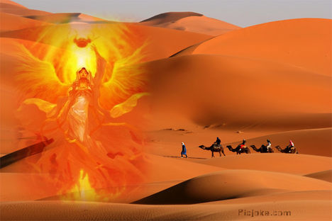 Másolat - 1-en-4daee1f83608bf2ce76526458d317406