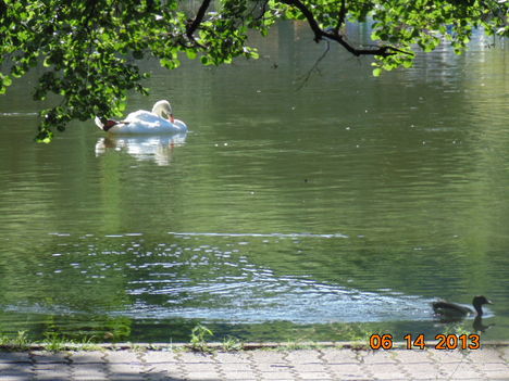 Miskolc Tapolca, csónakázó tó.