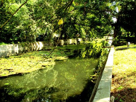 NYÁR 11