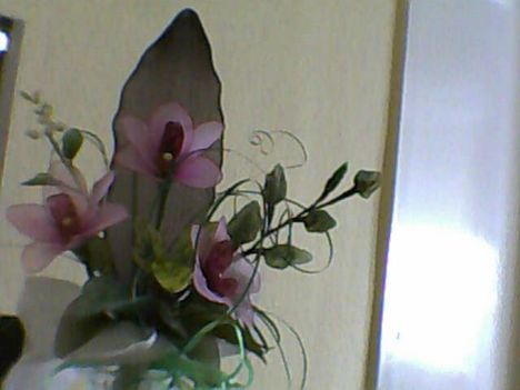 orchidea csokor