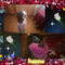 pizap.com13625831757351